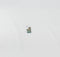 K8V4X Dell Inspiron 11 3147 Home Button Board Grade A
