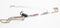 DDFM9BLC101 OEM Studio 1557 LED LCD Flex Ribbon Cable For Laptop Compatible With Dell